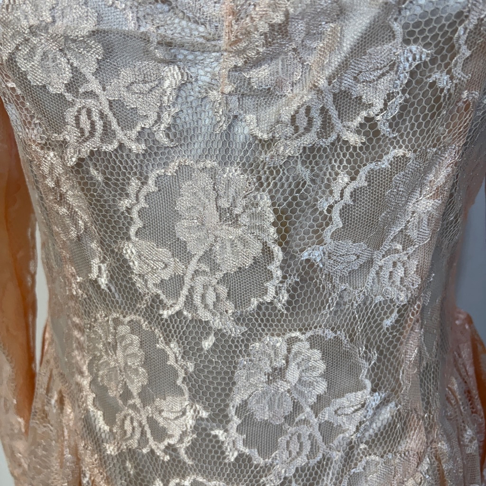 Vintage Scott McClintock Dress Women’s Size 12 Pink Lace Peplum Back Zipper - Picture 2 of 15